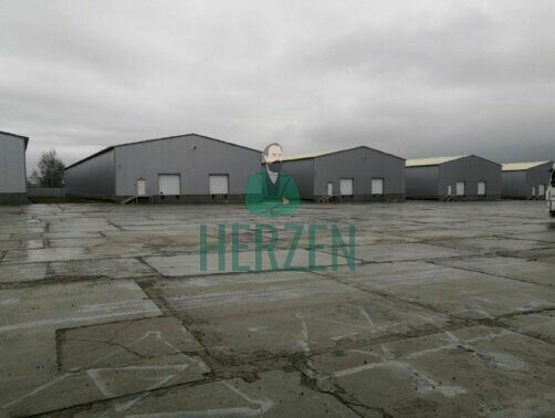 Склад, класс B, 7 800₽ за м²/год - Дятловка - фото 5