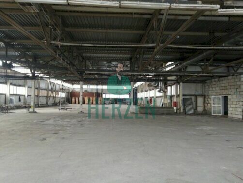 Склад, класс A, 14 400₽ за м²/год - аэропорт Шереметьево - фото 5