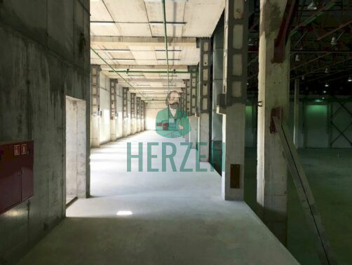 Склад, класс A, 0₽ за м²/год - Новосёлки - фото 7