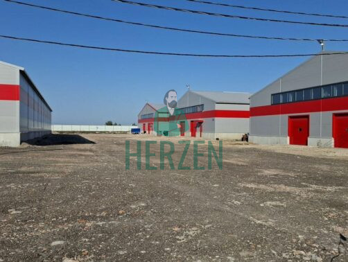 Склад, класс B, 8 400₽ за м²/год - Софьинское - фото 5